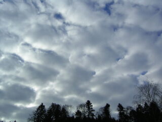 Stratocumulus clouds, one of the two clouds that give off "grainsnow".