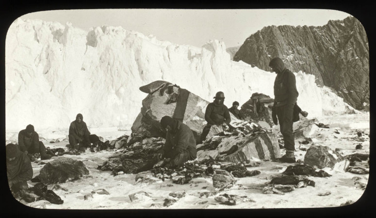 medical-hypothermia-05-Ernest Shackleton-Elephant-Island