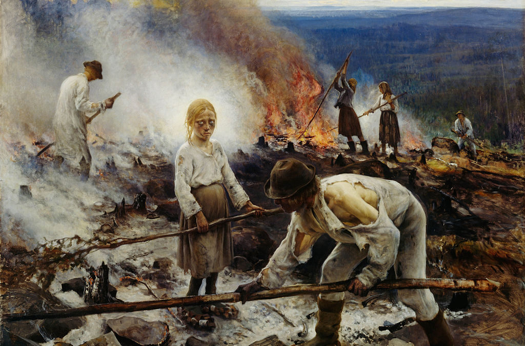 Sviðna, Svedjebruk and Slash & Burn cultivation