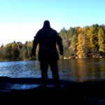 Permalink to: Nature, solitude and company